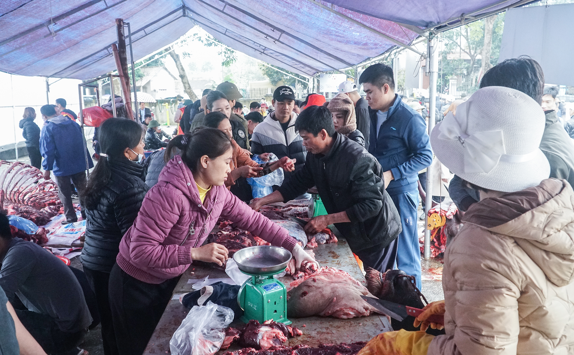 Nhiều người ùn ùn đi mua thịt trâu chọi giá tiền triệu ăn lấy may