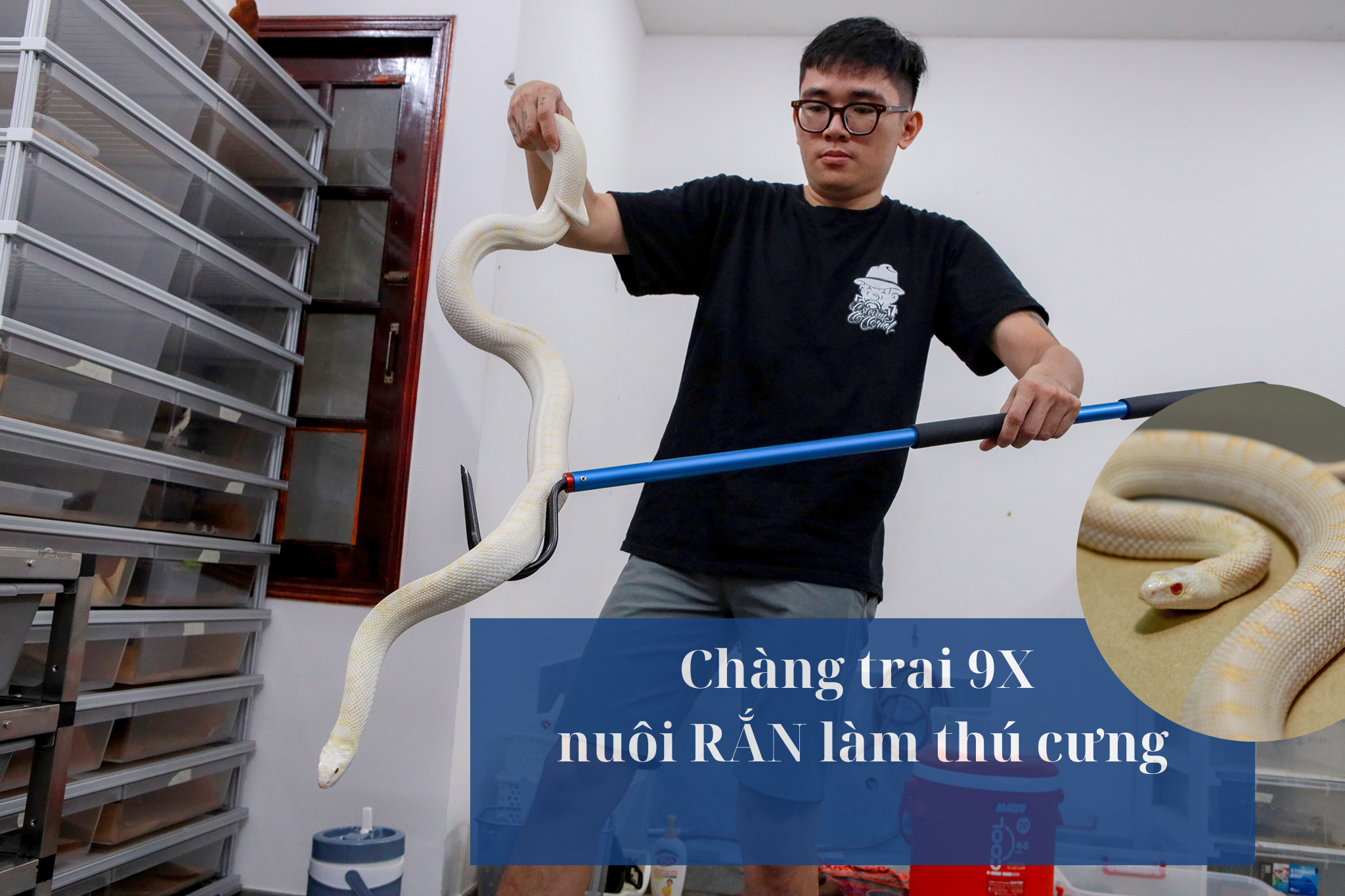 Chàng trai với niềm đam mê nuôi rắn làm thú cưng suốt 15 năm