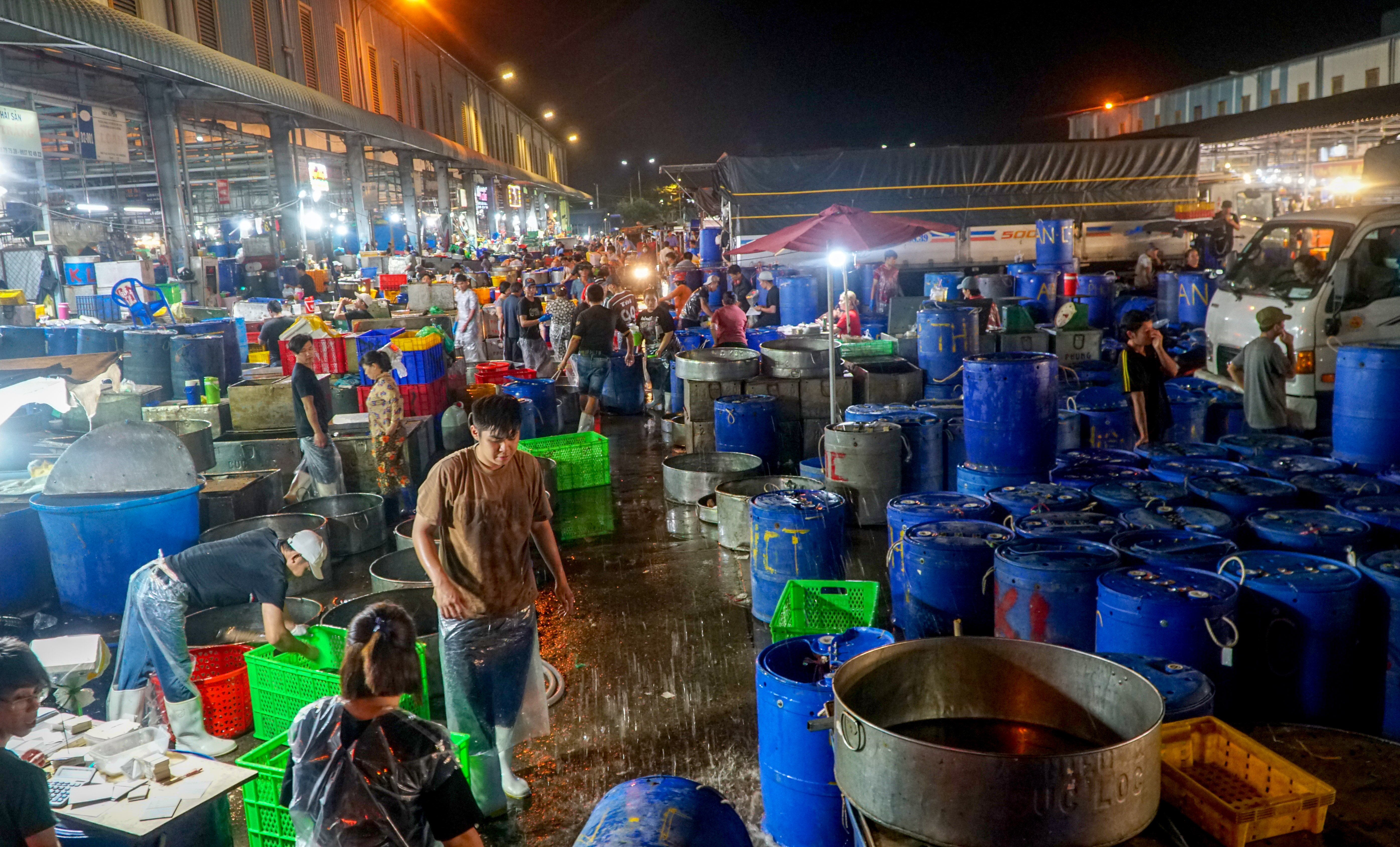 Ngày vía Thần Tài: Hơn 300 tấn cá lóc về chợ đầu mối Bình Điền