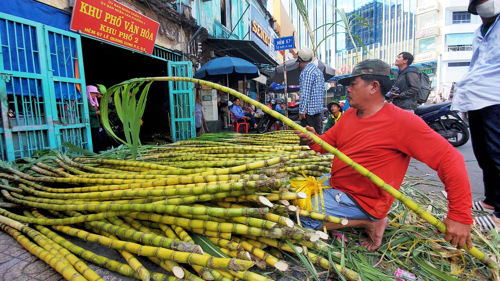 Dân TP.HCM lựa từng cây mía vàng cúng Ngọc Hoàng mong gia đạo bình an