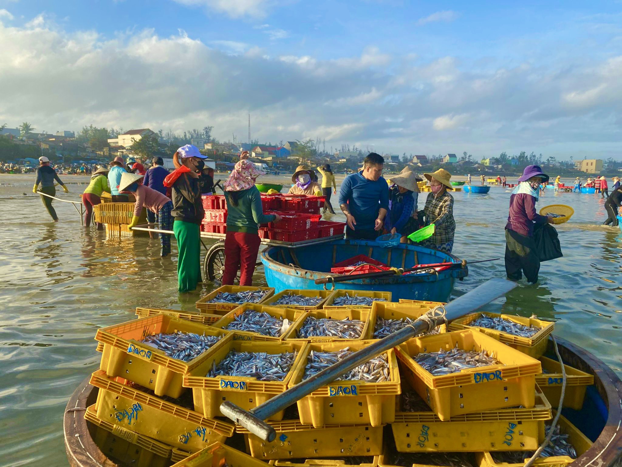 Phiên chợ cá bình minh độc nhất của Quảng Ngãi