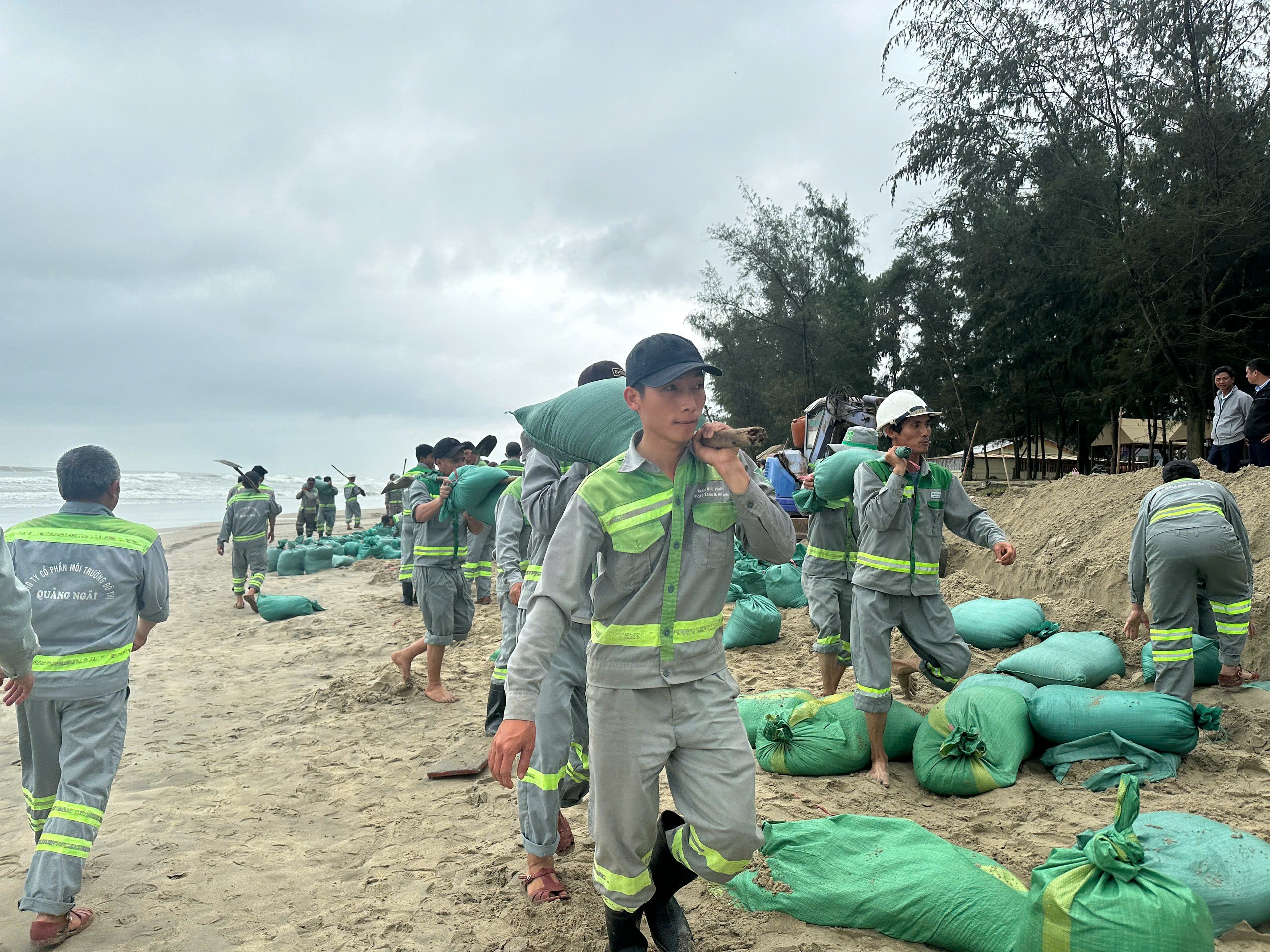 Hơn 350 người ‘cứu’ bờ biển đẹp nhất Quảng Ngãi khỏi nguy cơ bị xóa sổ