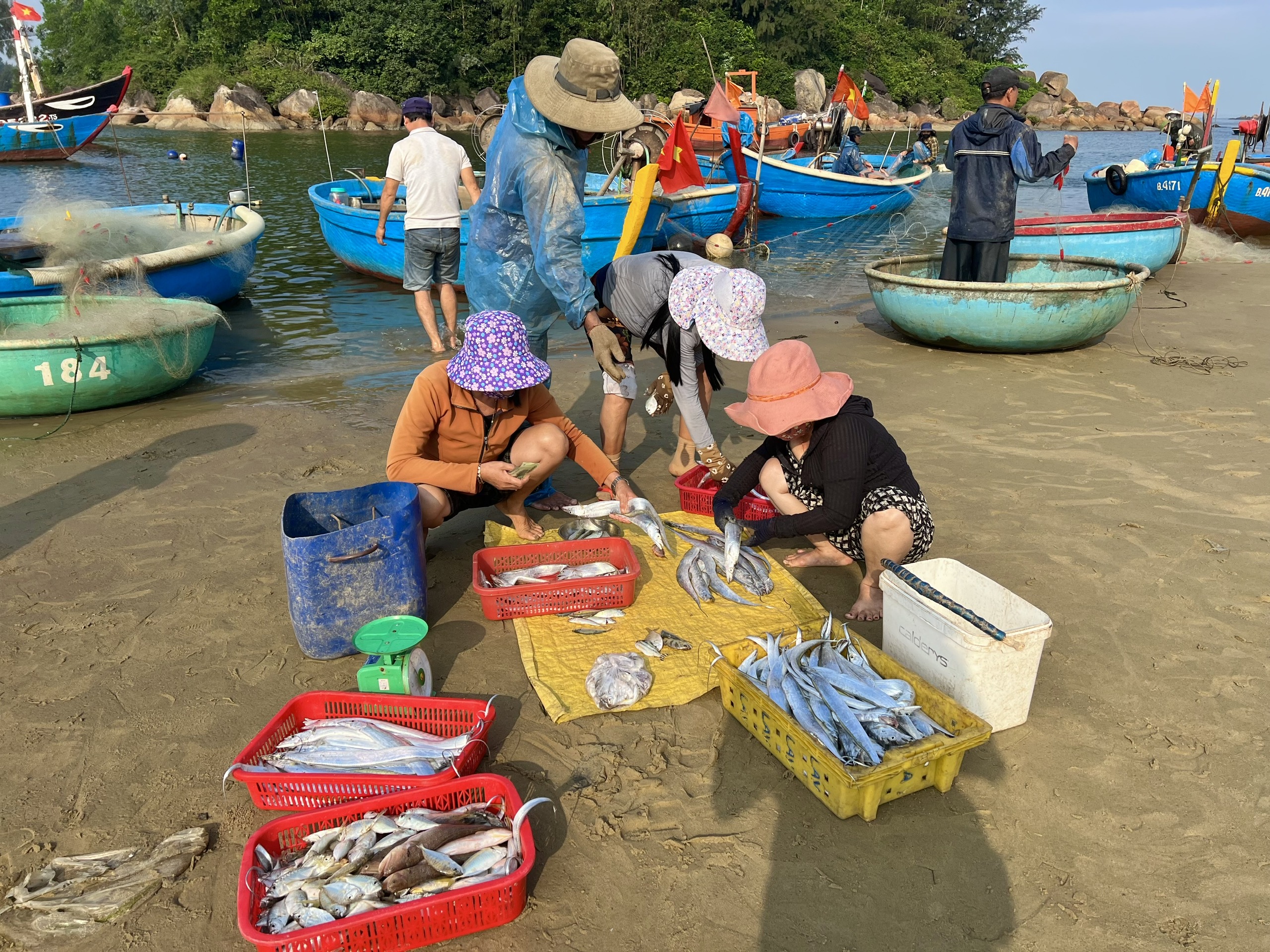 Rôm rả chợ cá bên mép sóng ở làng chài Sơn Trà