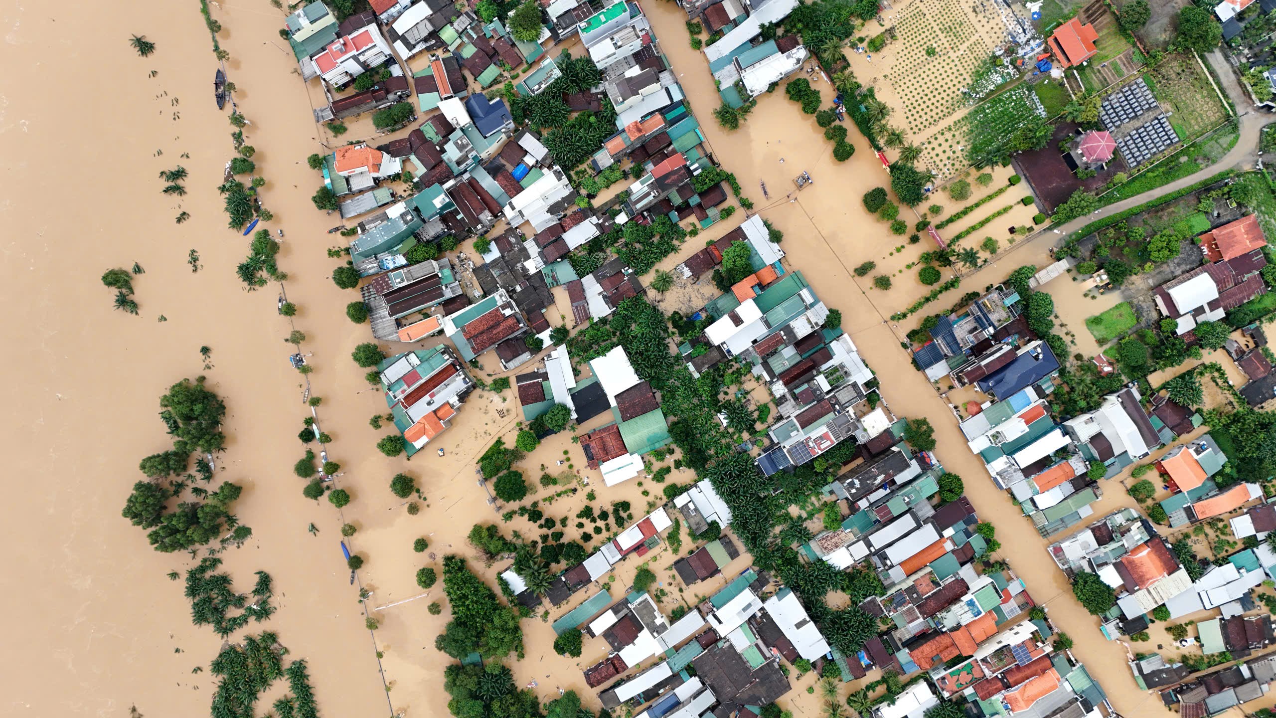 Mưa lũ cuồn cuộn, Quảng Ngãi chìm trong biển nước