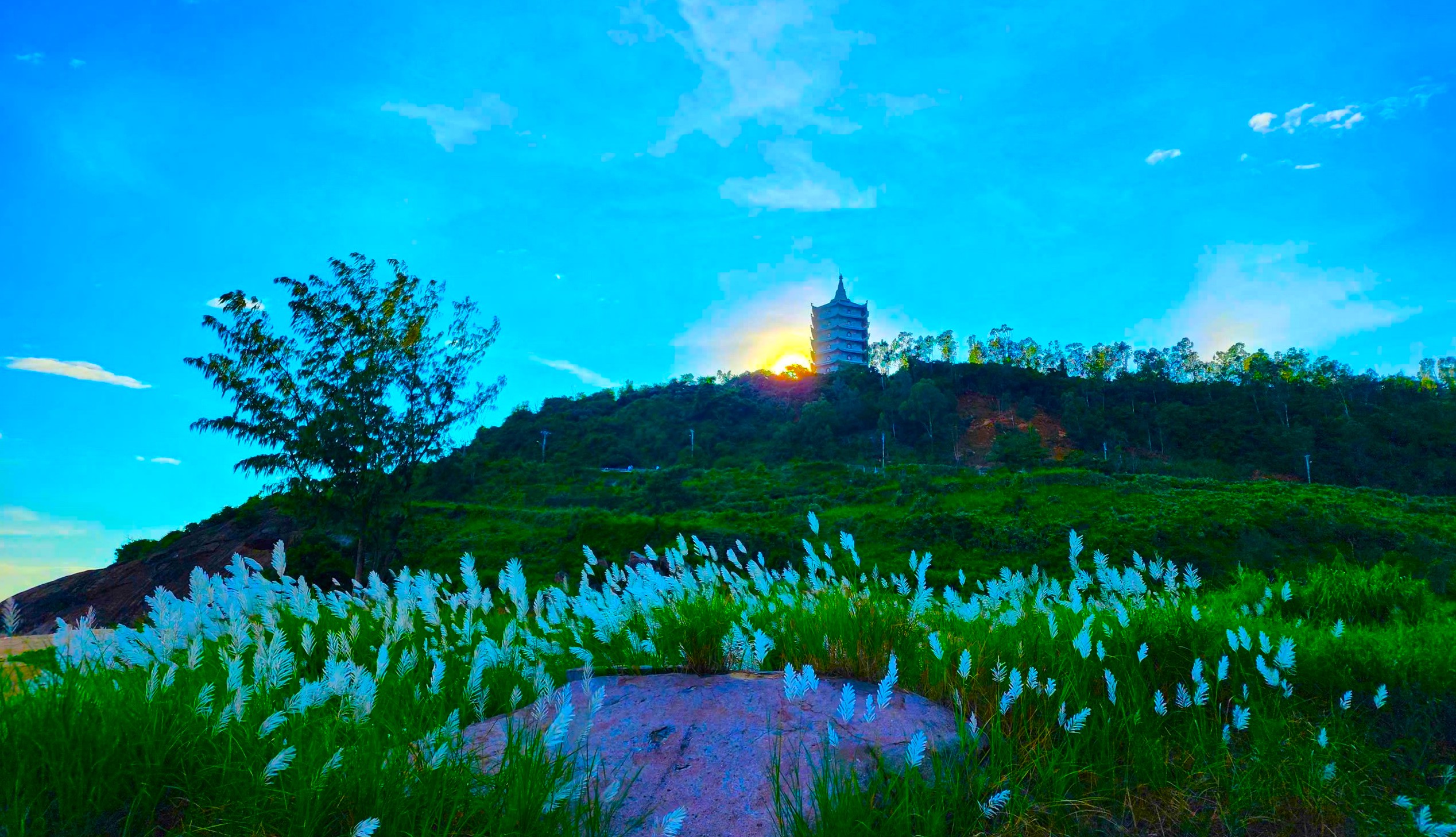 Nhiều điểm tham quan trên núi Sơn Trà mở lại sau 3 năm bị cấm