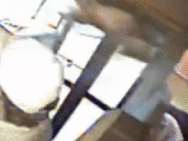 Nai lao thẳng vào kính chắn gió xe buýt