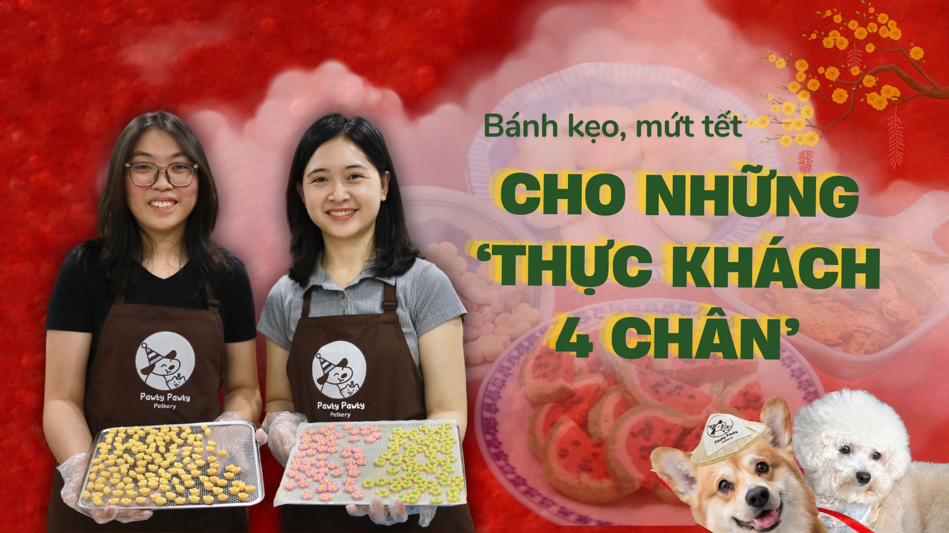 Bánh kẹo, mứt tết cho những 'thực khách 4 chân'