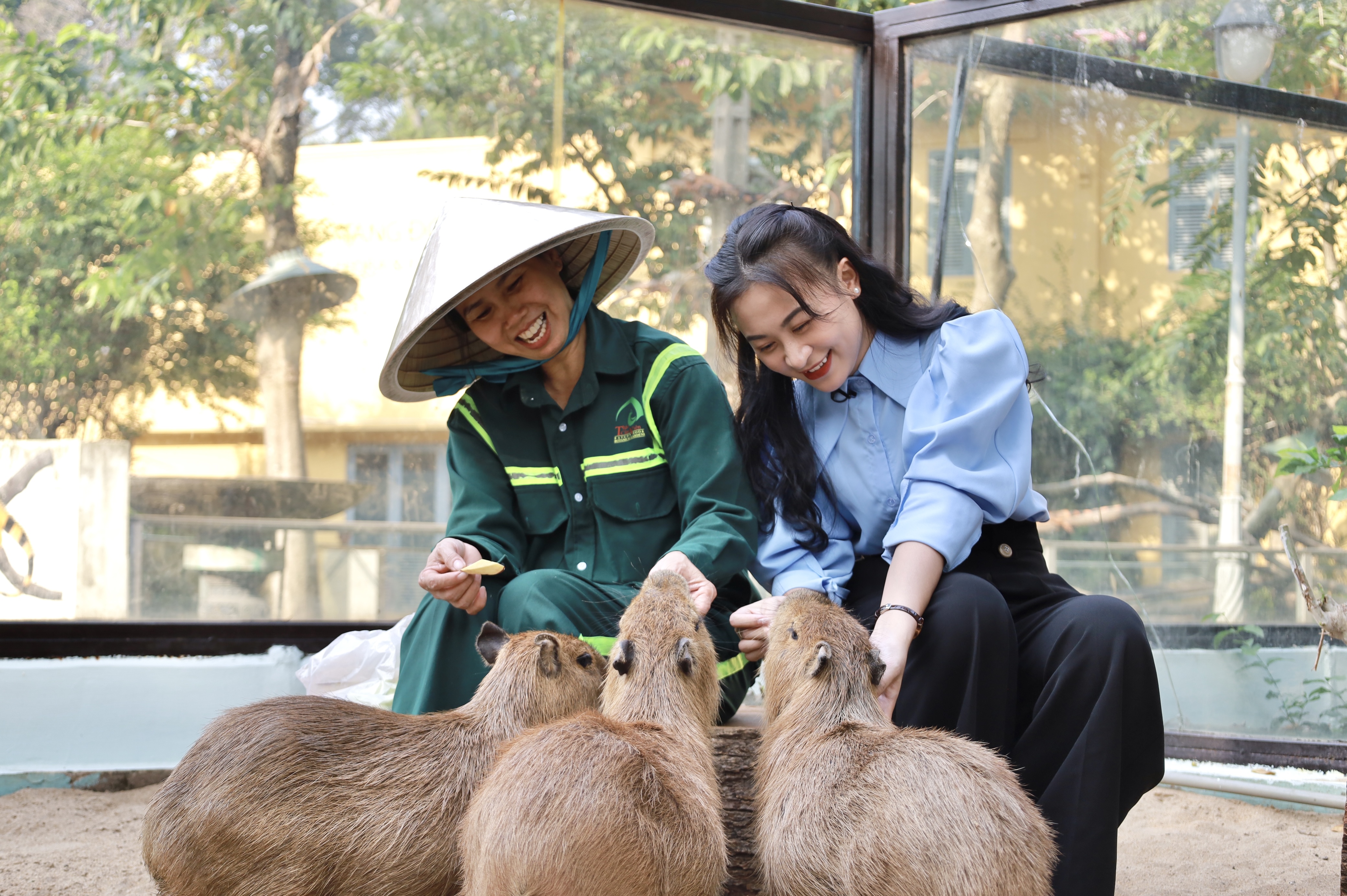 Capybara ngoài đời gây sốt, người dân TP.HCM chờ tới lượt để được vuốt ve