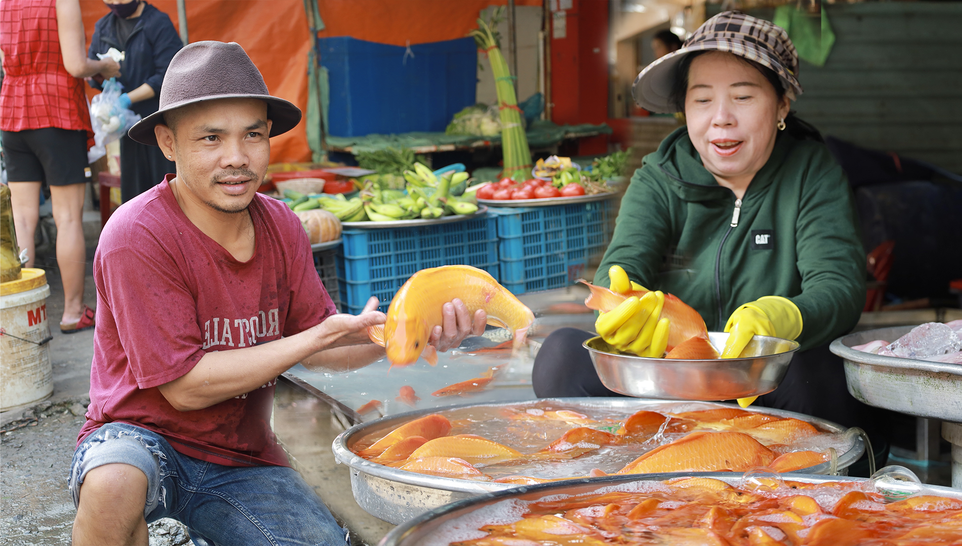 Cá chép đỏ vắng khách trước ngày cúng ông Táo, tiểu thương lo lắng