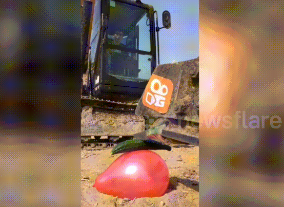 Thanh niên trổ tài cắt dưa chuột bằng xe đào đất