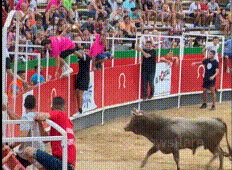 Video: Bò tót điên cuồng tấn công khán giả