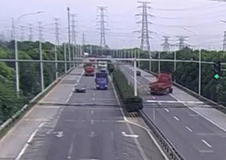 Vừa lái xe vừa nựng chó cưng, tài xế gây tai nạn kinh hoàng