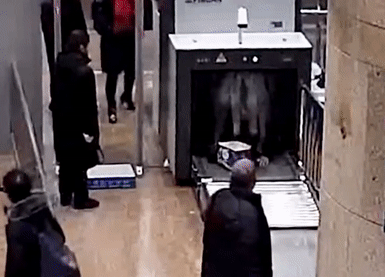 Lười cởi đồ, hành khách leo vào máy quét an ninh ở sân bay