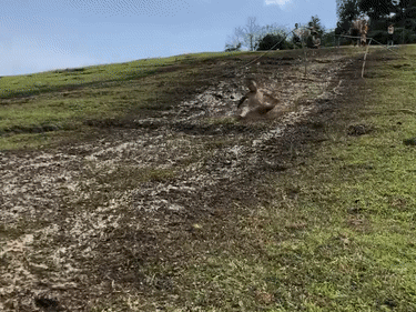 'Máng trượt' độc nhất vô nhị tại điểm trường vùng cao Tắk Pổ