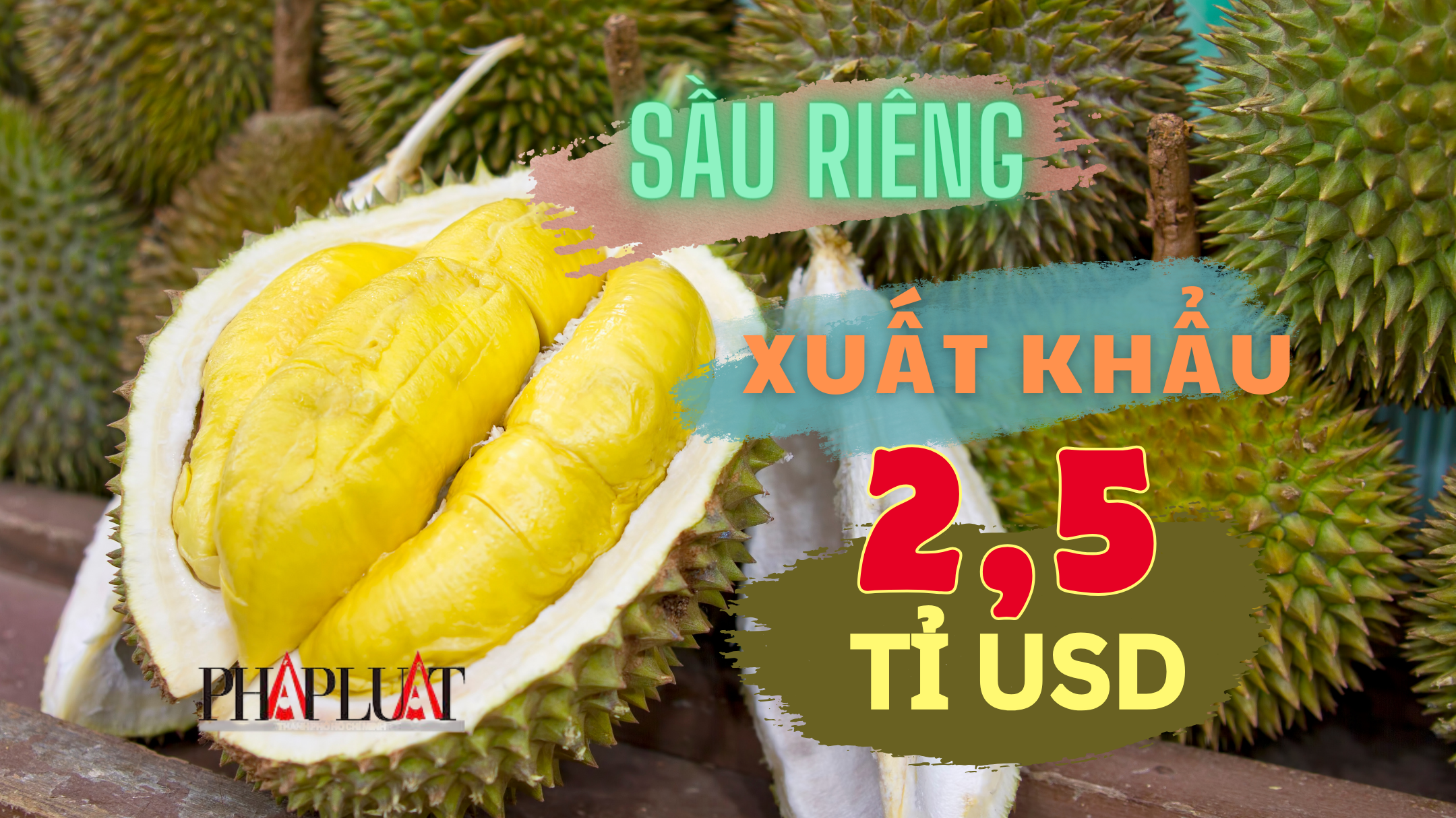 Xuất khẩu sầu riêng sang Trung Quốc dự báo thu về 2,5 tỉ USD