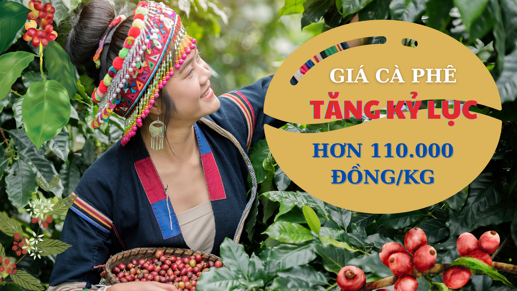 Giá cà phê lập kỷ lục mới, vượt 110.000 đồng/kg và có thể lên 120.000 đồng/kg