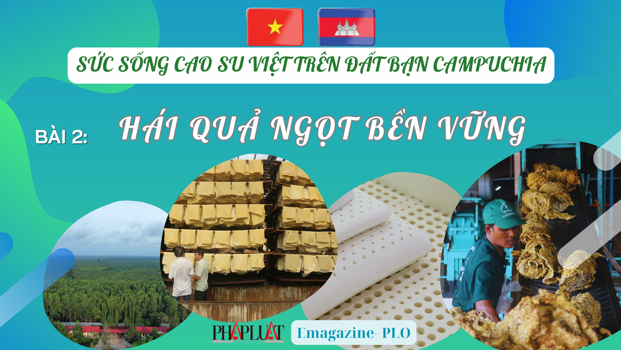 Bài 2: Các dự án cao su tạo ra giá trị bền vững 