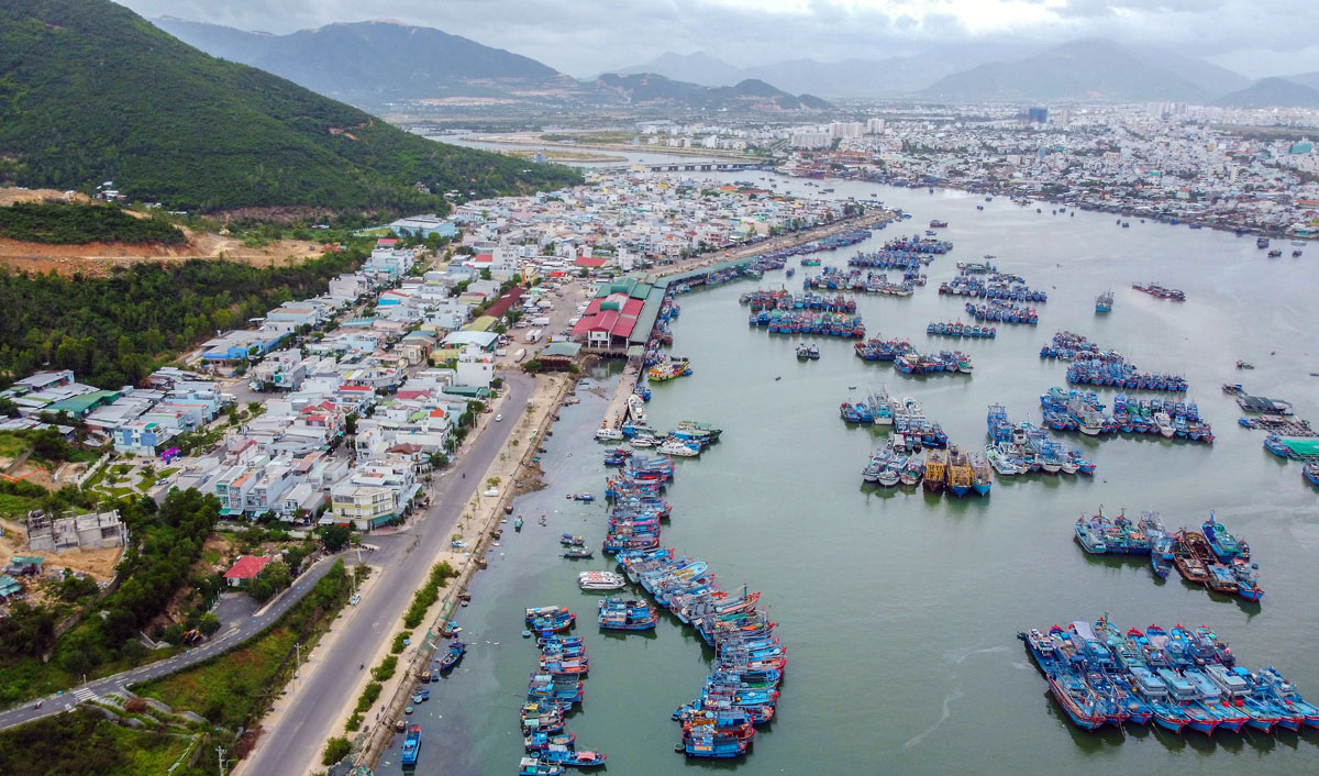 Hàng trăm tàu thuyền neo đậu trong cảng cá Hòn Rớ để bán hải sản vừa đánh bắt.