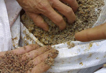 Cục QLTT đề nghị làm rõ vụ ‘cứu’ phân dỏm