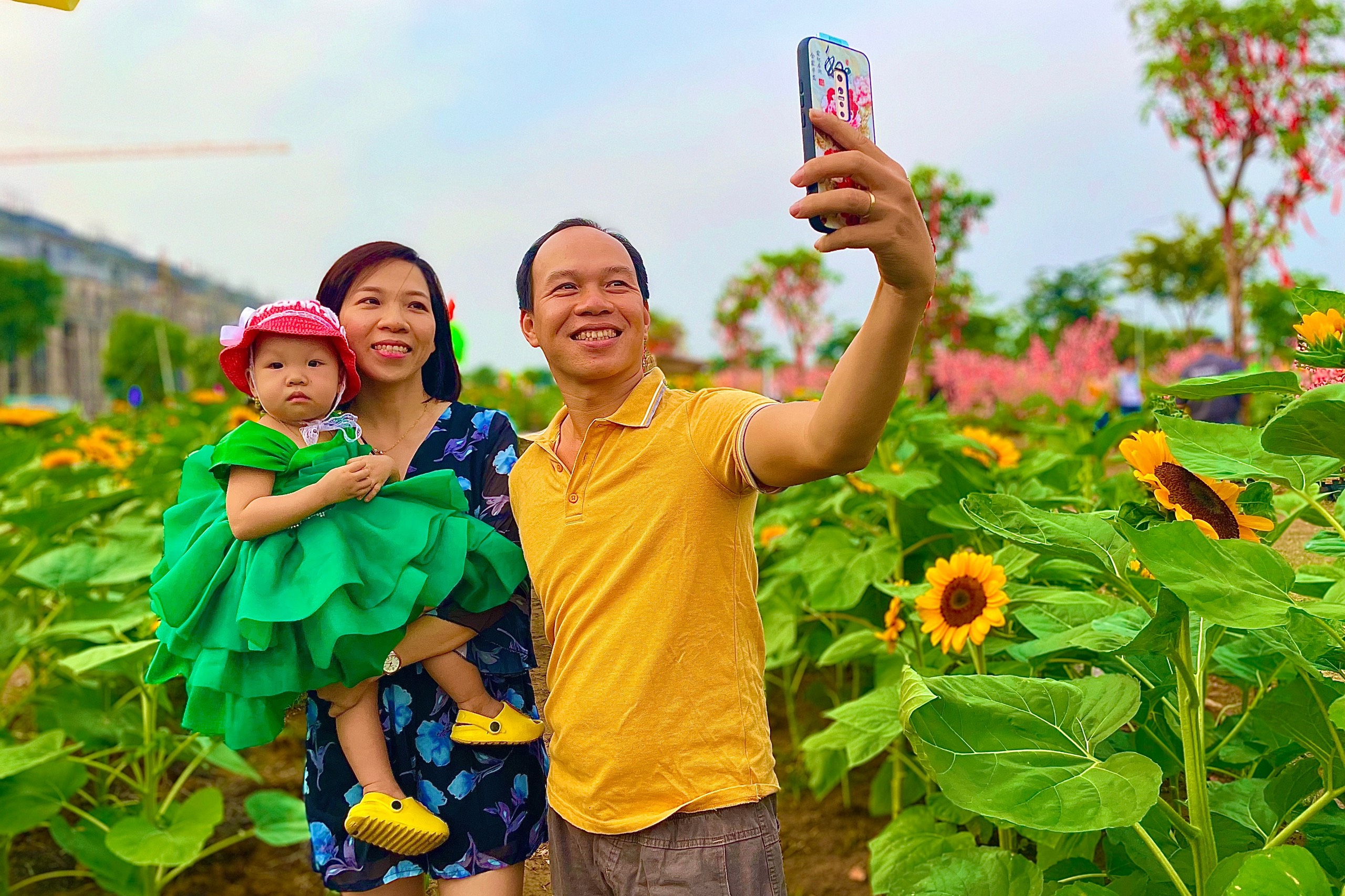 Nhiều người 'check in' cánh đồng hoa hướng dương ở TP Thủ Đức