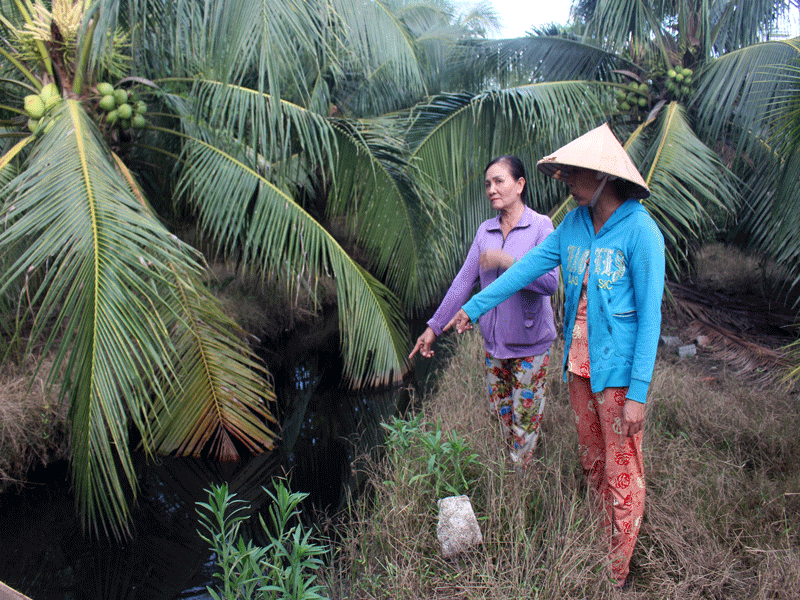 Dân bức xúc vì nhà máy xử lý rác Bến Tre gây ô nhiễm