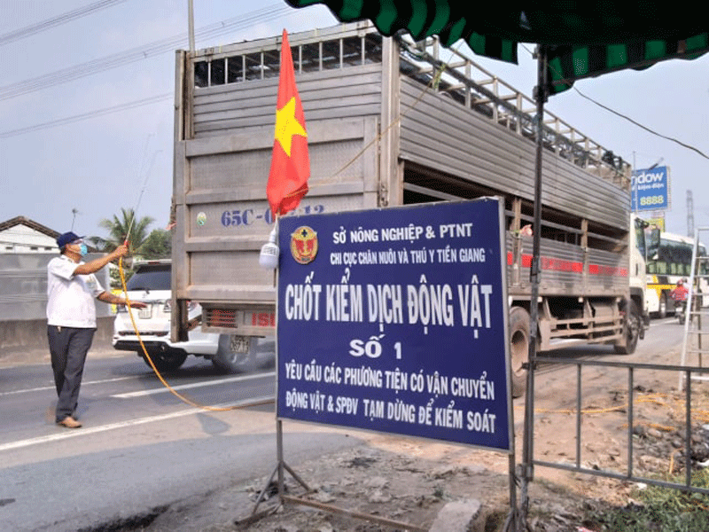 Tỉnh thứ 10 ở miền Tây bị dịch tả heo châu Phi tấn công