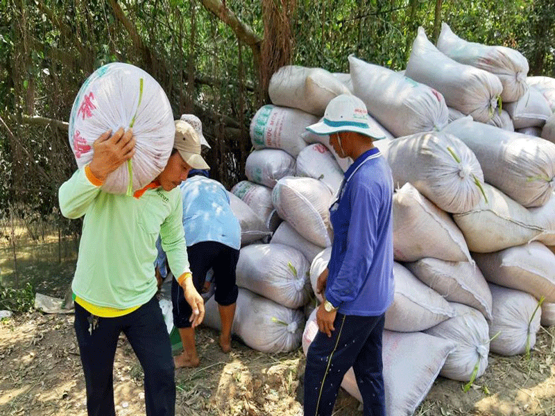 Đình chỉ giám đốc Trung tâm vì nợ tiền lúa nông dân 10 tỉ đồng