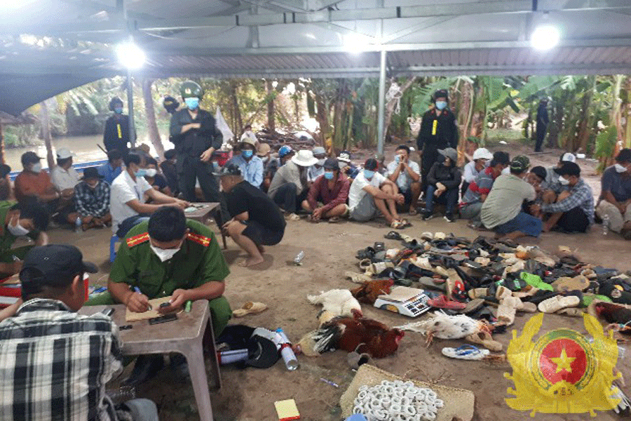 Nổ súng vây bắt hơn 200 người tụ tập đá gà