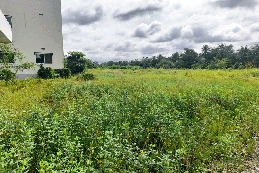 Bên trong dự án là khu đất trống, cỏ hoang mọc um tùm