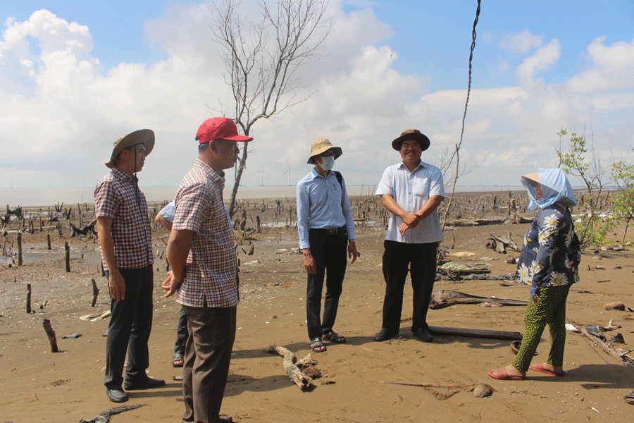 Bến Tre: Cần 100 tỉ đồng cấp bách làm kè chống sạt lở bờ biển 