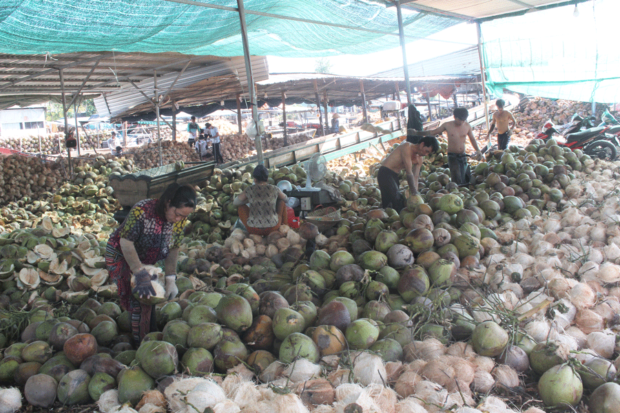 Trên 200 sản phẩm được làm từ dừa Bến Tre