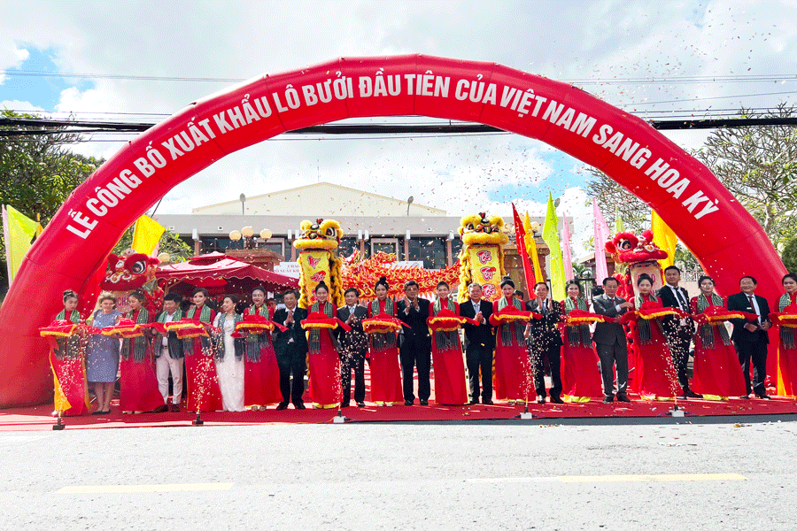 Lô bưởi đầu tiên của Việt Nam chính thức xuất khẩu sang Hoa Kỳ