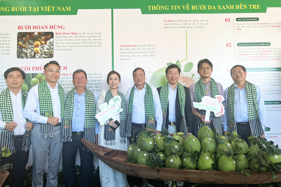 Sản phẩm bưởi Việt Nam lần đầu tiên xuất sang thị trường Hoa Kỳ. Ảnh: H.T