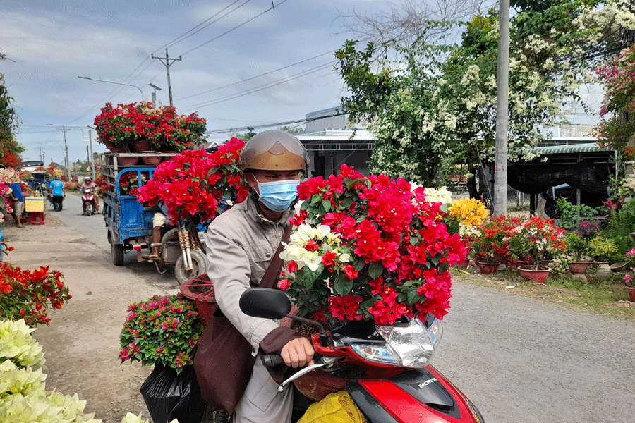 Nhộn nhịp con đường hoa giấy ở Phú Sơn vào những ngày cận Tết. Ảnh: Đ.HÀ
