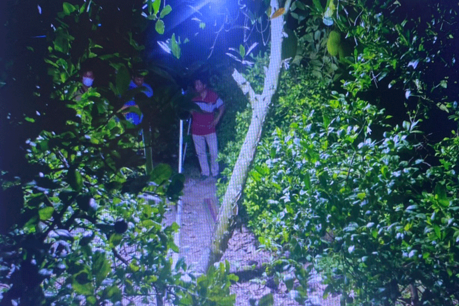 Tiền Giang: Bé gái 18 tháng tuổi tử vong dưới mương nước