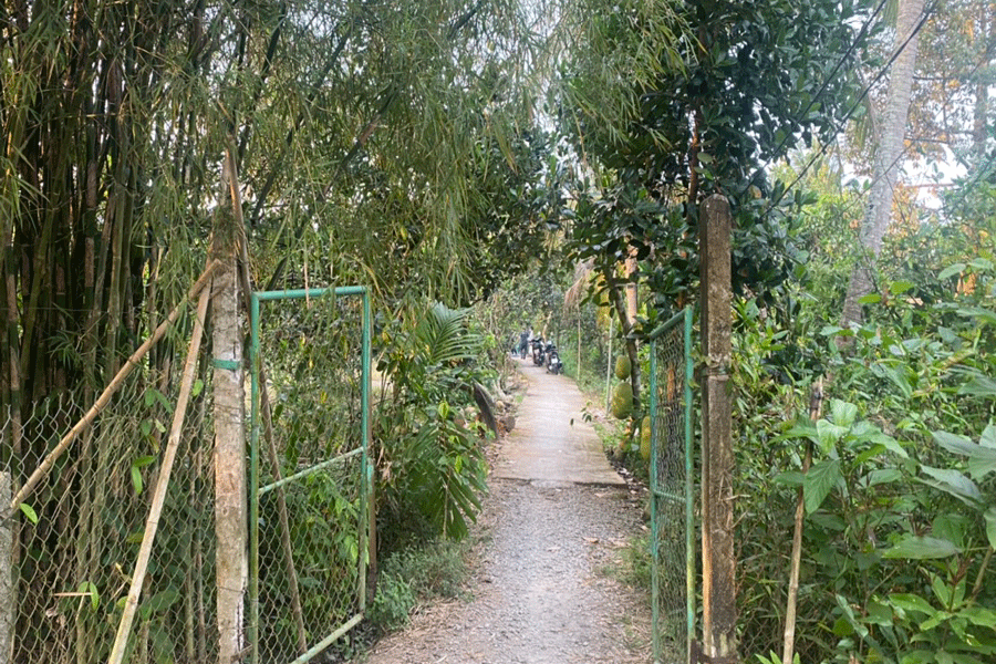 Trúng đạn tử vong sau mâu thuẫn trong vườn sầu riêng