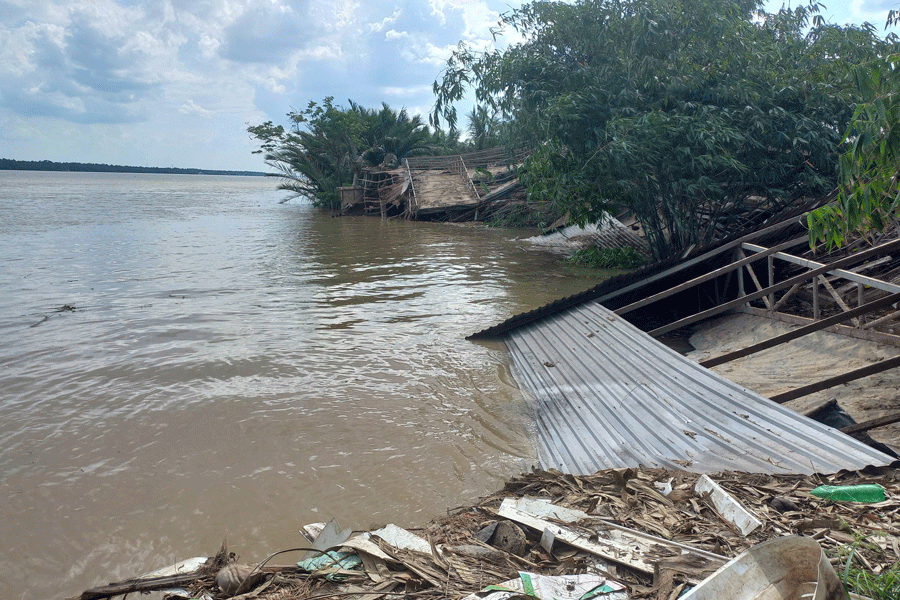 Trang trại nuôi gà bị sạt lở, 10.000 con gà chìm xuống sông Tiền