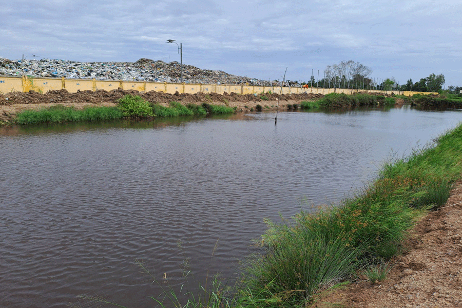 Ao tôm của người dân nước đen ngòm vì nước thải từ bãi rác rỉ ra ngoài thẩm thấu vào ao. Ảnh: ĐÔNG HÀ