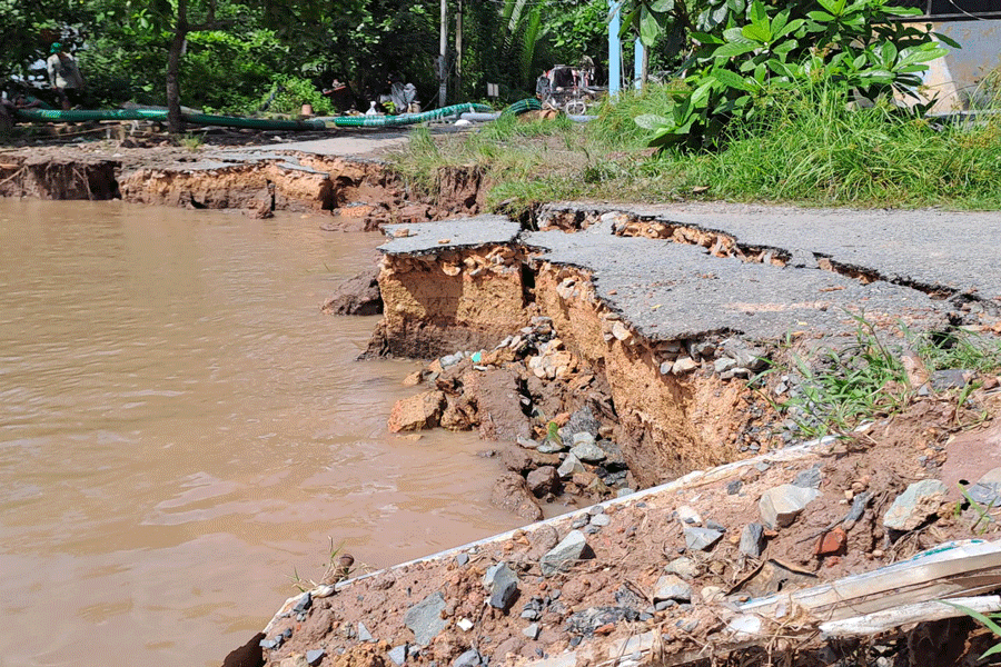 Sạt lở bờ sông Giao Hòa, xã Giao Long, huyện Châu Thành, Bến Tre. Ảnh: ĐÔNG HÀ