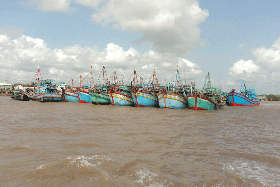 Bến Tre siết chặt tàu cá để chống vi phạm khai thác IUU