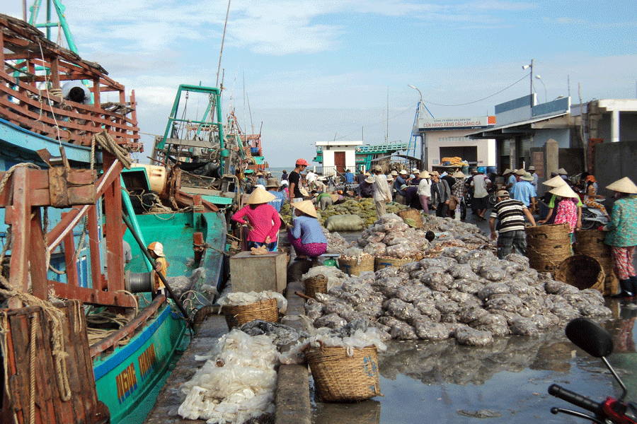 Trong thực thi pháp luật trong chống khai thác IUU, Bến Tre kiên quyết xử lý nghiêm các vi phạm.