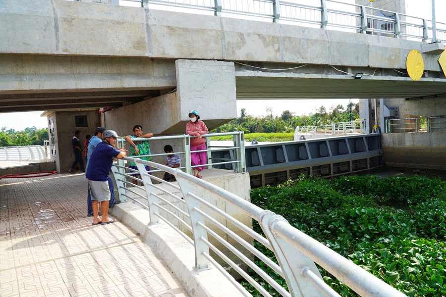 Cống ngăn mặn trăm tỉ vừa vận hành đã bị rò rỉ nước mặn vào vùng ngọt hóa