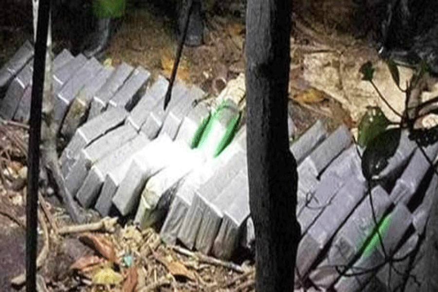 Hàng chục gói nghi ma túy dạt vào bờ biển Gò Công