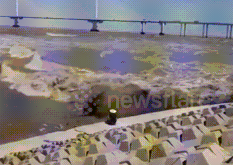 Không hề hấn gì dù bị sóng thần 3 m cuốn trôi