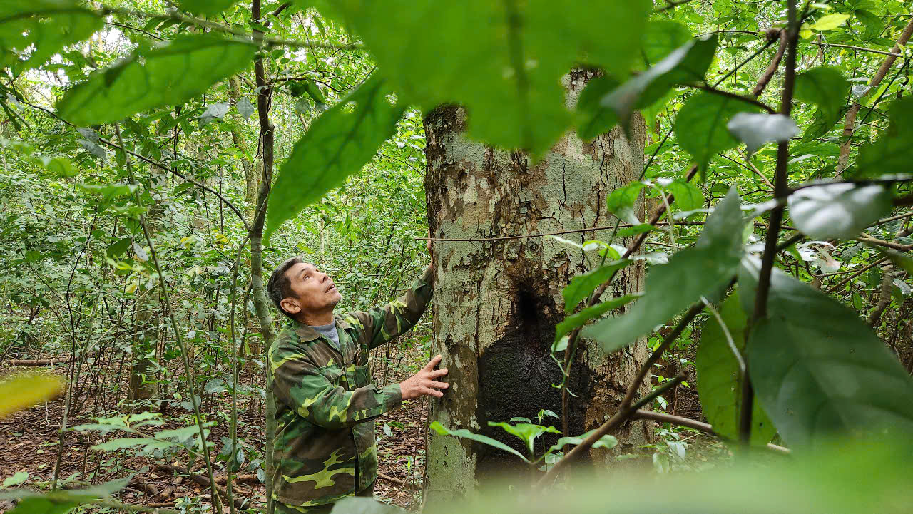 Chuyện về cụ ông 70 tuổi có tên được đặt cho một loài cây