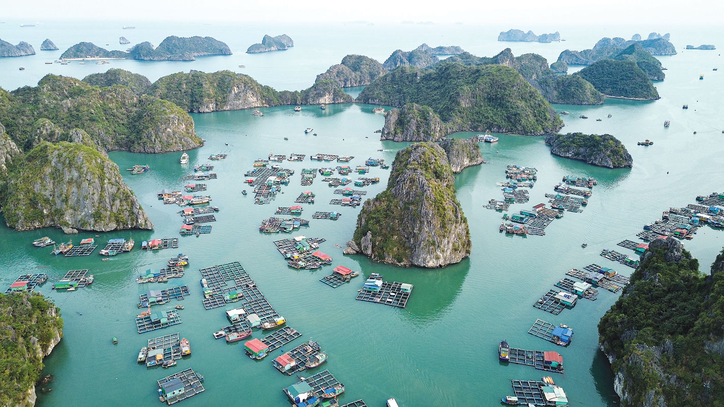 Một góc khu vực nuôi cá lồng bè trên biển tại huyện Cát Hải.