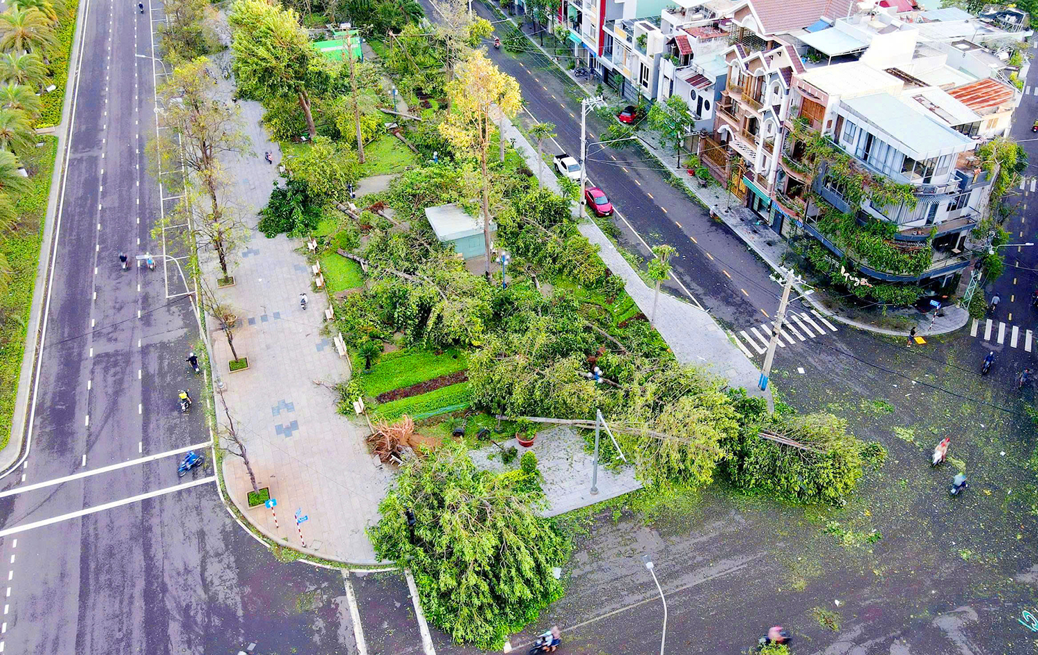 Tan hoang "lá phổi xanh" Quy Nhơn