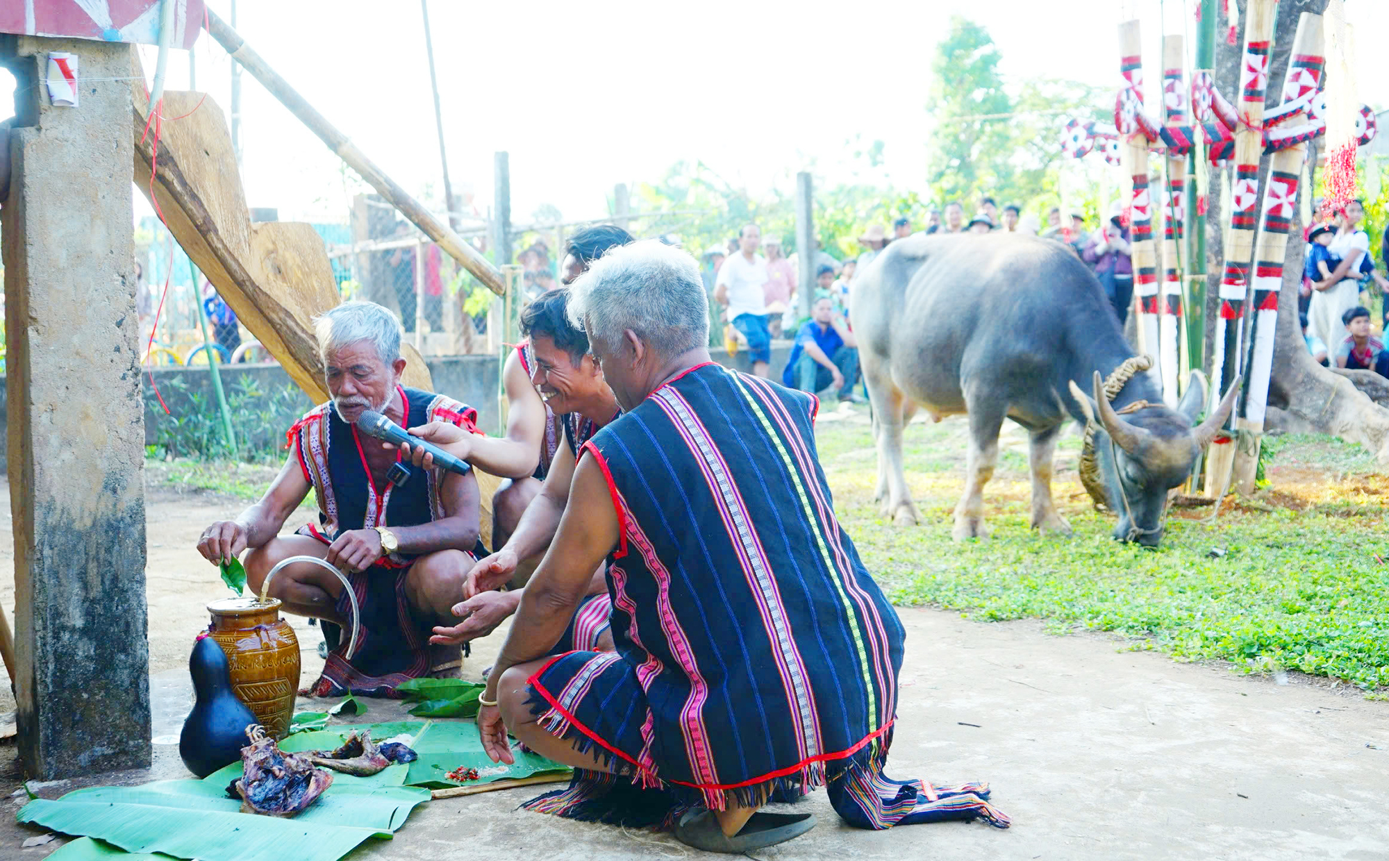 Phục dựng lễ Mừng chiến thắng, ăn trâu của đồng bào Jrai ở Ia Grai