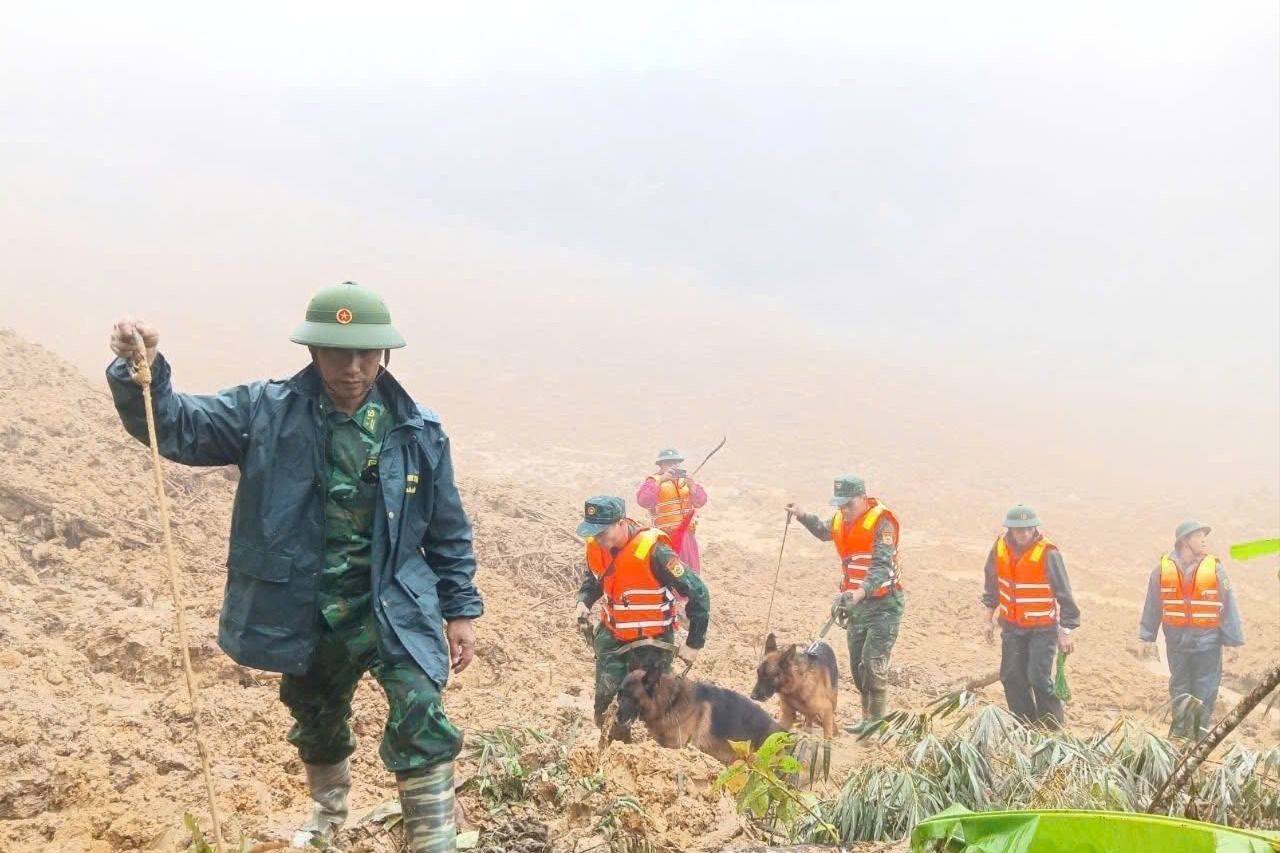 Đà Nẵng: Sạt lở khắp vùng núi phía Tây và bài toán cho tương lai
