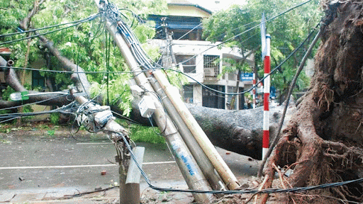 tai nạn do điện giật